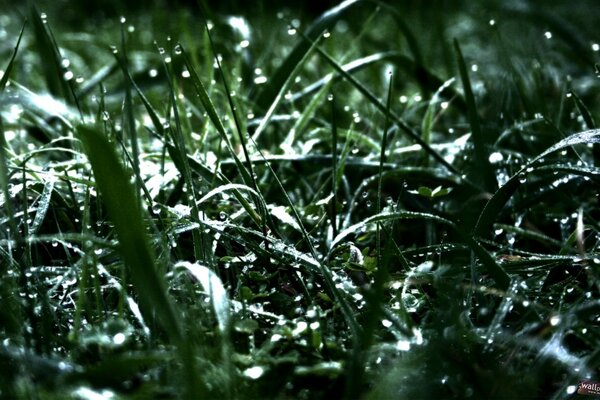 Chute de pluie à urenem Blik