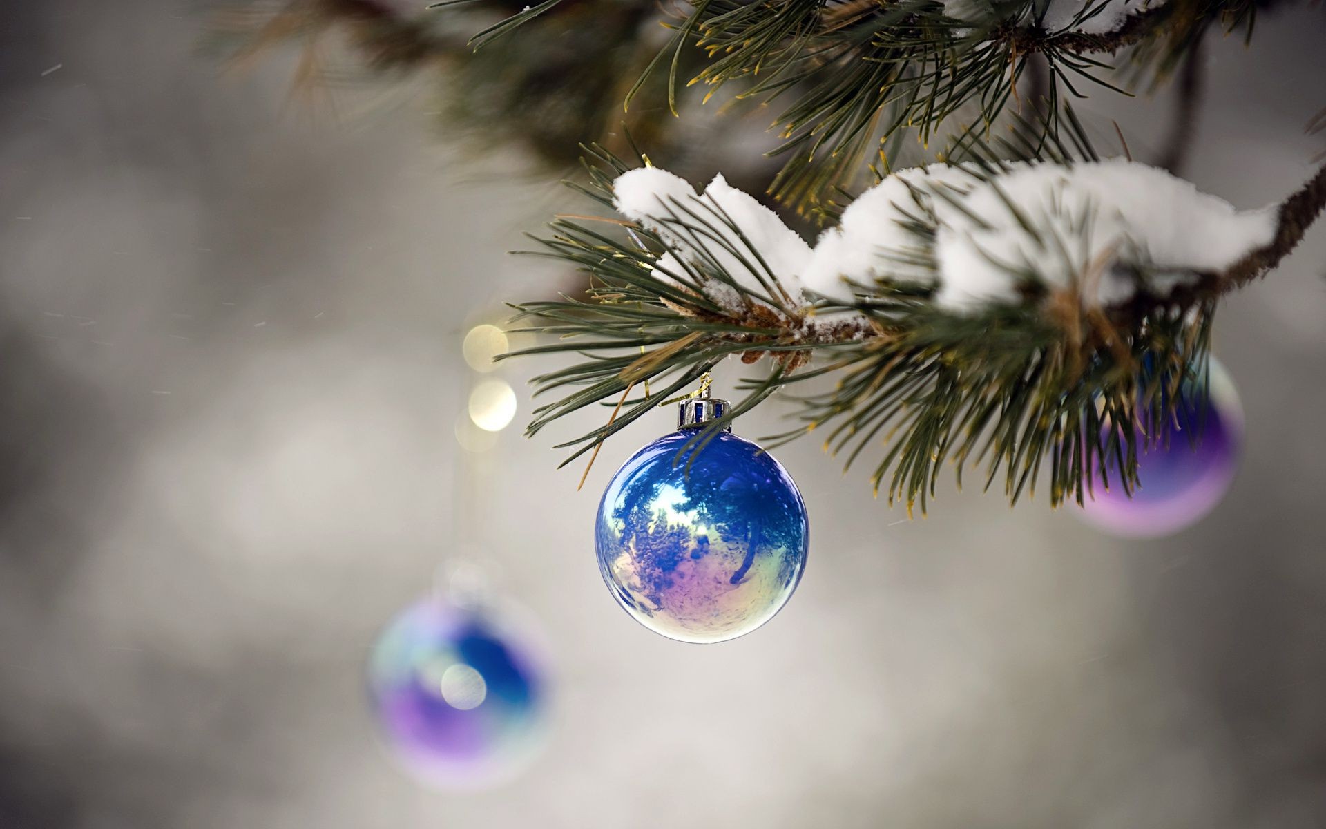 año nuevo invierno navidad bola árbol esfera brillo pino borrosidad decoración vacaciones nieve rama pulsera abeto evergreen brillo merry temporada aguja