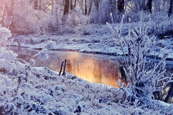 Una puesta de sol helada reflejada en el agua de un río rodeado de hierbas y árboles cubiertos de INI