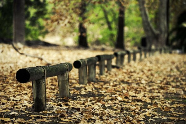 Olor a madera al aire libre