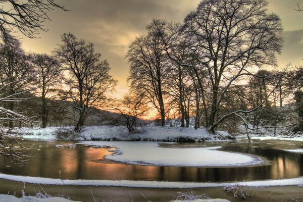 Winter landscape: trees and pond