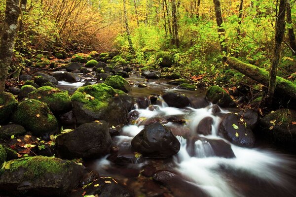 Unaufhaltsame Wasserfälle im Herbstwald