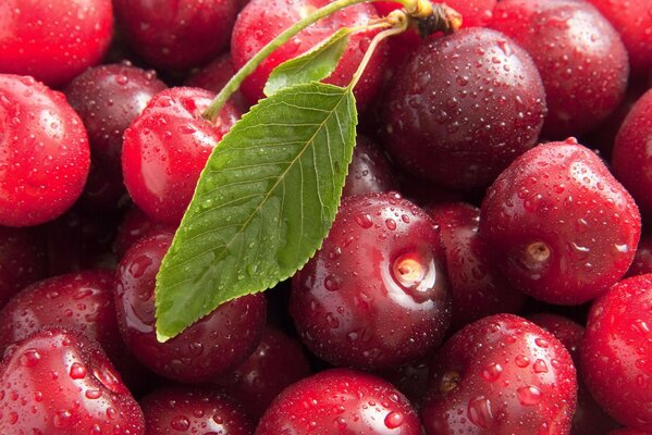 Cerezas maduras con hojuelas