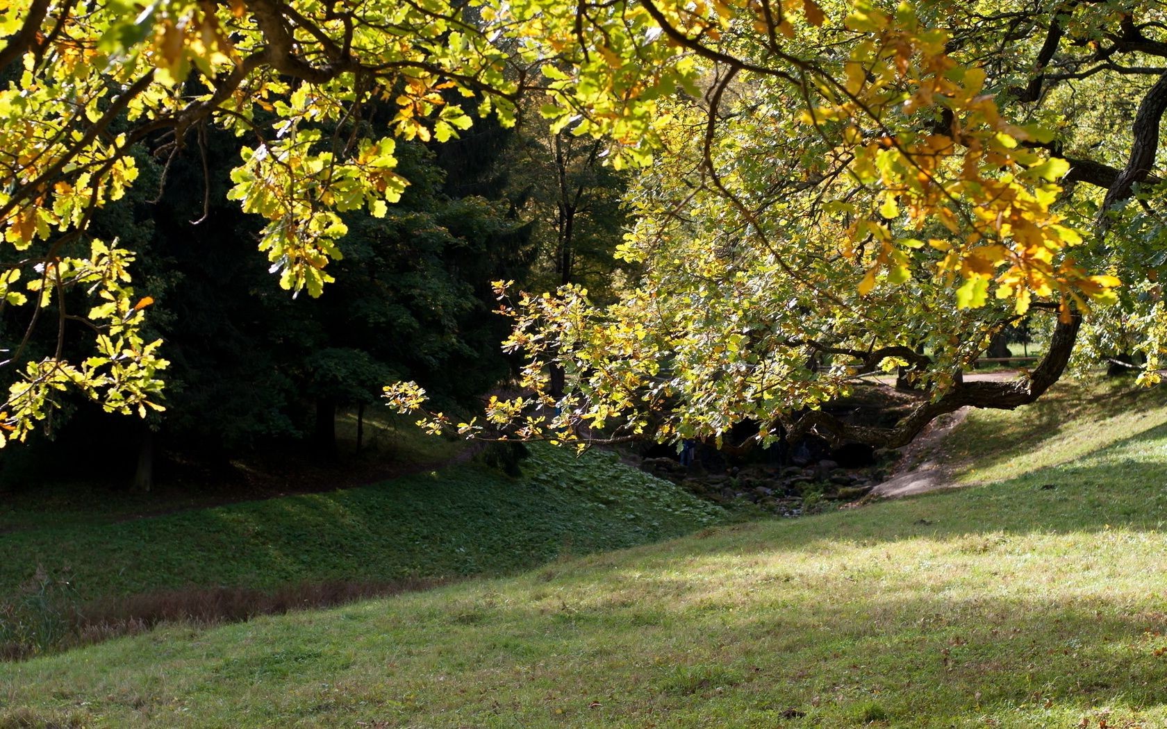 jesień drzewo liść jesień krajobraz natura park sezon oddział na zewnątrz drewno klon dobra pogoda flora malownicze bujne środowisko ogród światło dzienne kolor