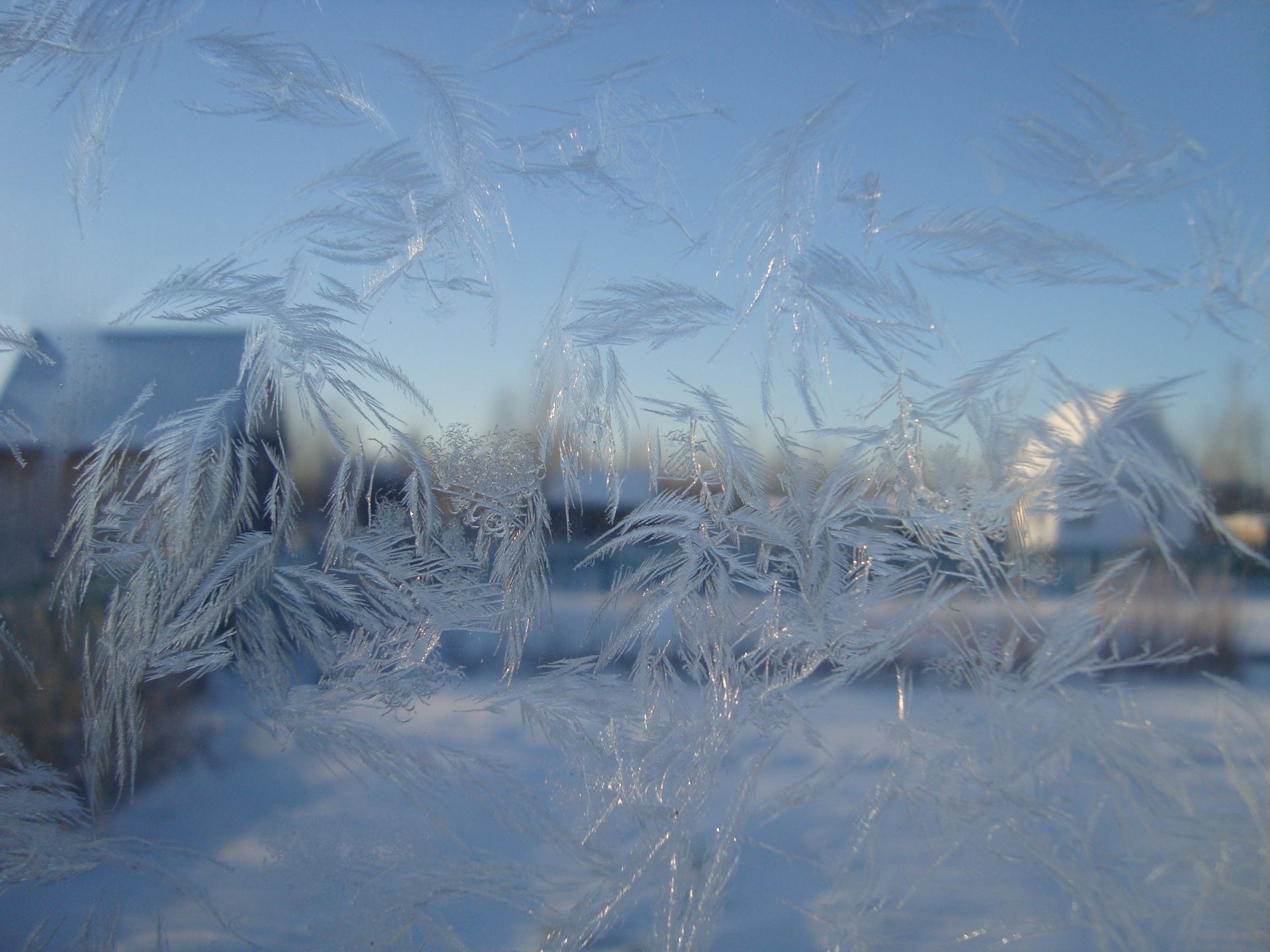 новый год зима снег холодная мороз замороженные лед пейзаж сезон природа свет морозный отражение рассвет хорошую погоду погода озеро рабочего стола