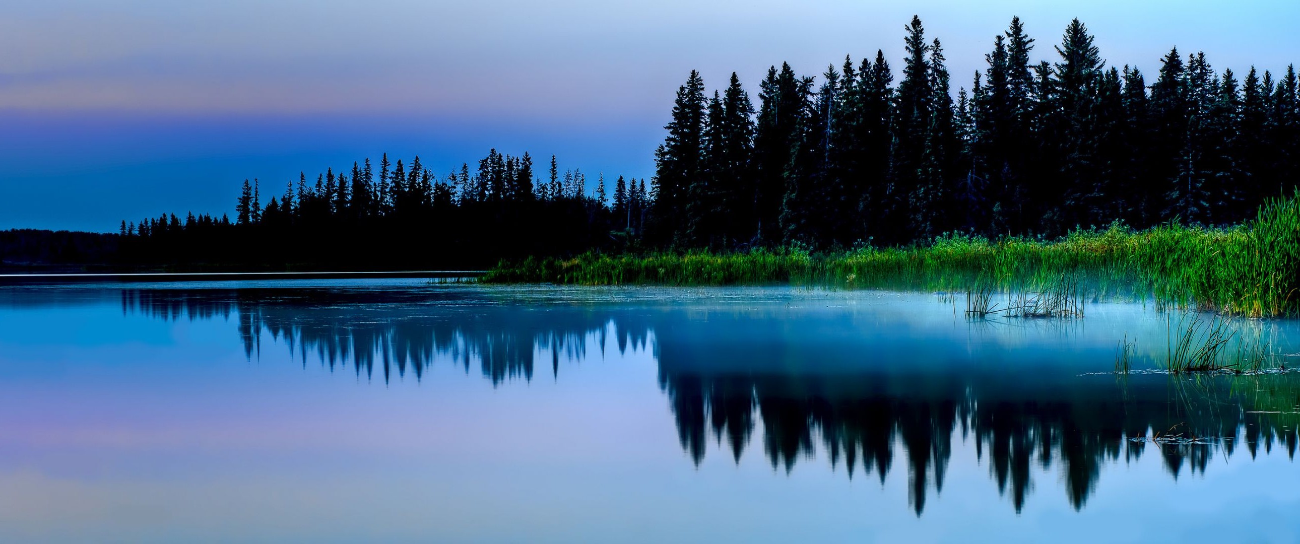 forêt lac eau réflexion à l extérieur nature bois aube paysage rivière sang-froid ciel voyage bois