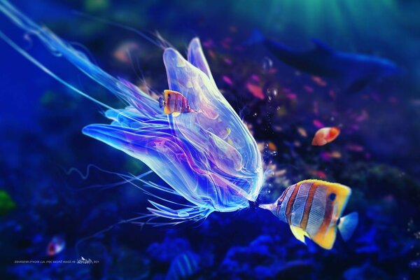 Neon jellyfish and fish. Communication under water