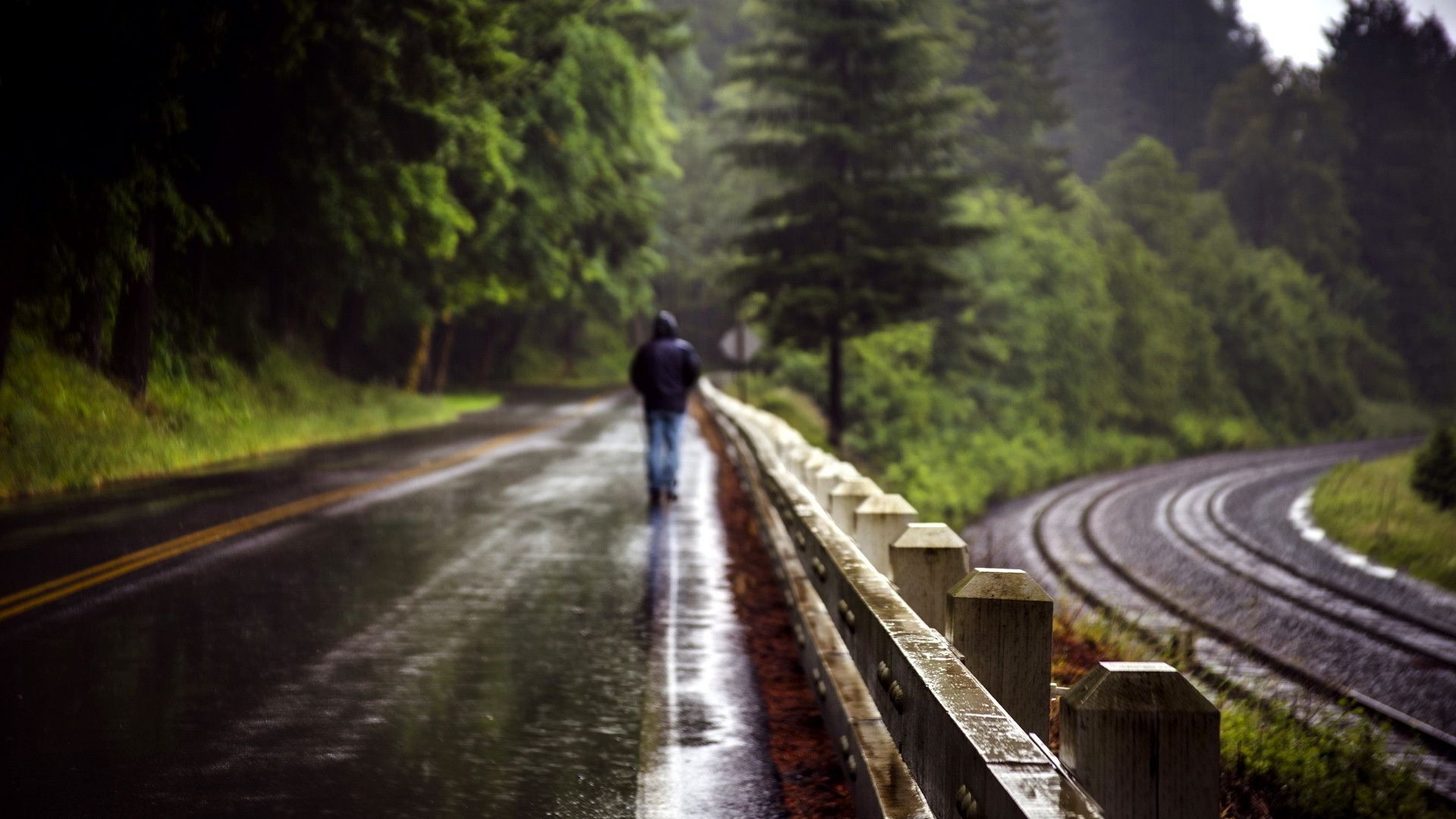 droga system transportu przewodnik podróż drzewo drewno światło dzienne na zewnątrz utwór autostrada krajobraz dysk pociąg rozmycie sceniczny ruch krzywa natura