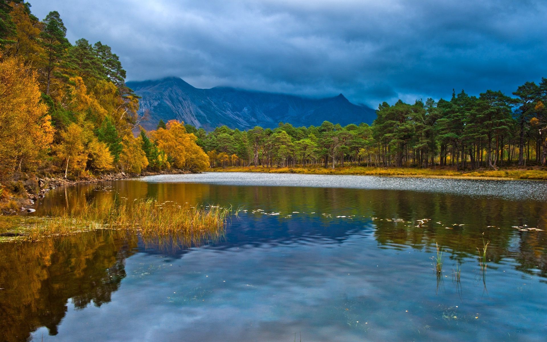 湖泊 水域 自然 旅游 木材 风景 景观 树 户外 反射 天空 秋天 山 河 夏天