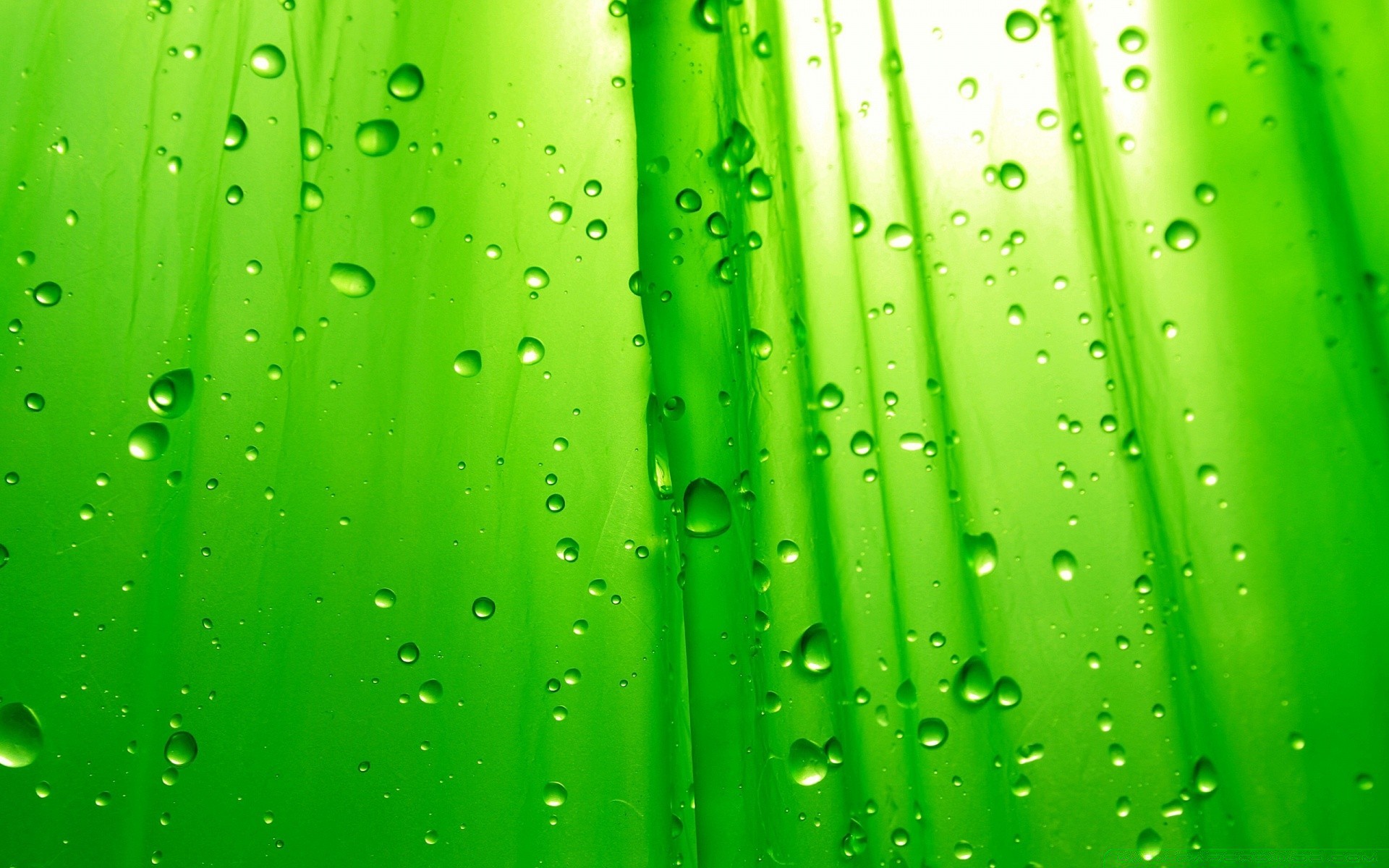 helle farben regen tau nass tropfen tropfen wasser frische flüssigkeit spritzen tropfen sauber wassertropfen klar abstrakt blase reinheit licht welligkeit türkis