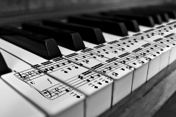 Notes sur les touches du piano