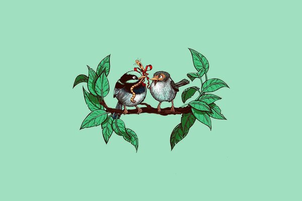 Schöne Liebe mit Vogelaugen