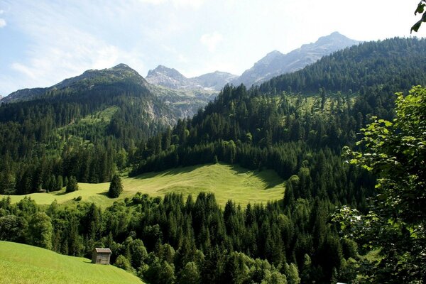 Montañas y claros. Naturaleza verde