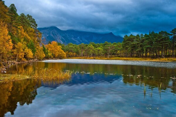 Na superfície do lago reflete a natureza