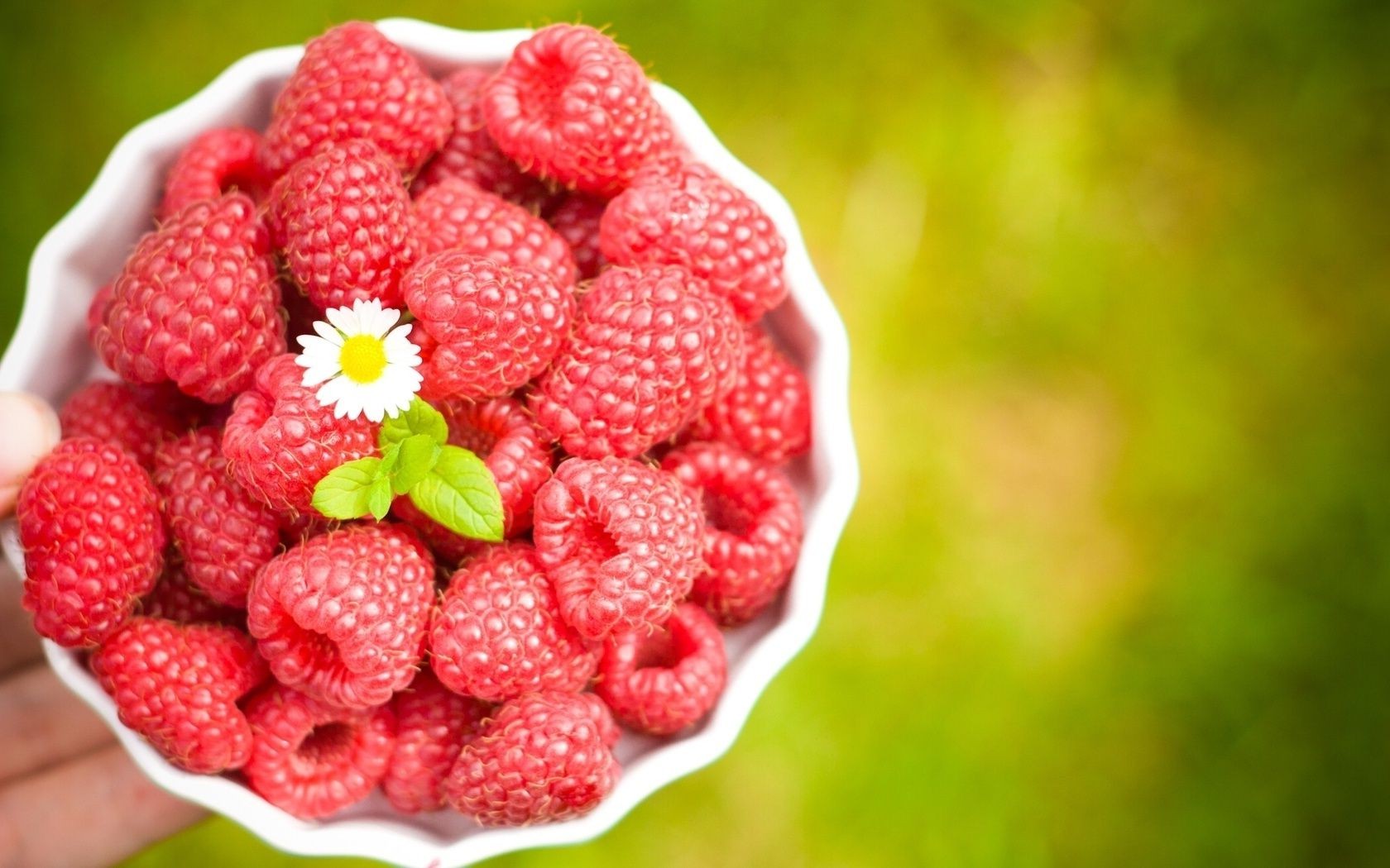 beeren lebensmittel obst süß lecker saftig beere gesund himbeere gebäck diät ernährung lecker natur gesundheit erfrischung schließen frische erdbeere sommer