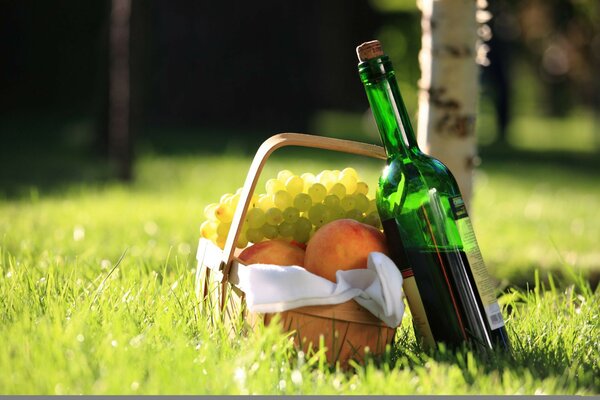 Doğada şarapla piknik yapmak