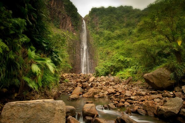 Hermosa cascada alta en el bosque