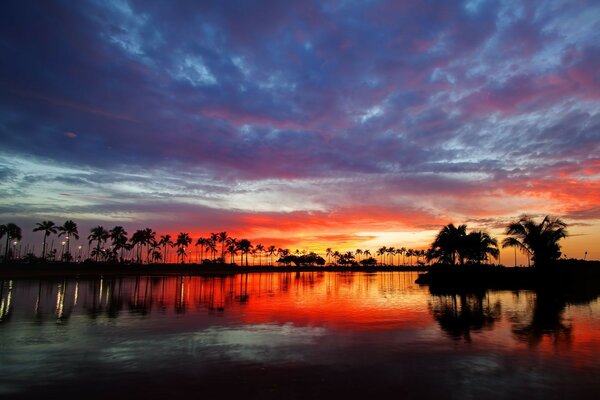 Beautiful sunset and the coast with palm trees