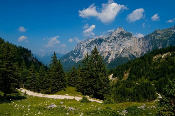 Berge blauer Himmel Wolken grün Fichte und Straße