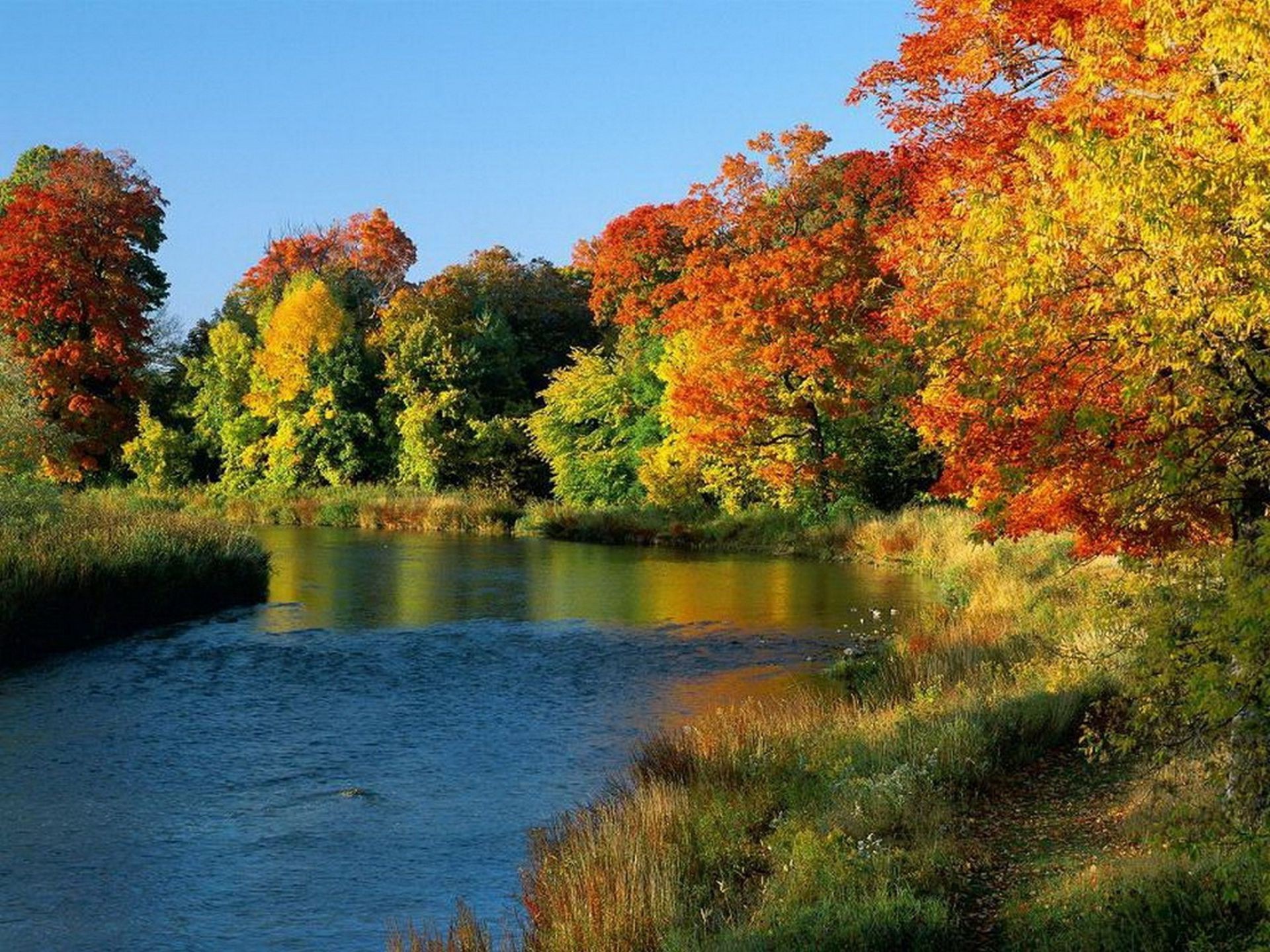 rivers ponds and streams fall tree leaf nature outdoors landscape river lake water wood park scenic daylight season composure