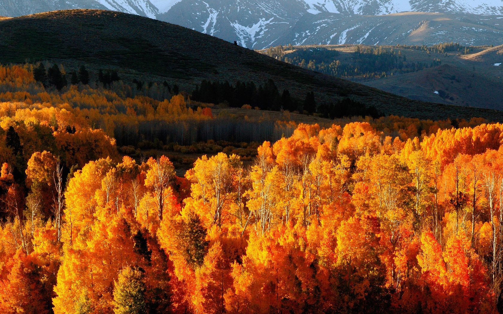 montañas otoño al aire libre paisaje madera naturaleza montañas árbol escénico viajes nieve