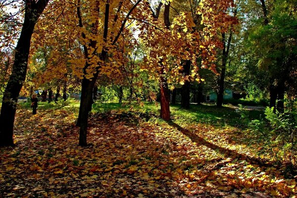 Der Park ist der beste Ort zum Wandern und Entspannen