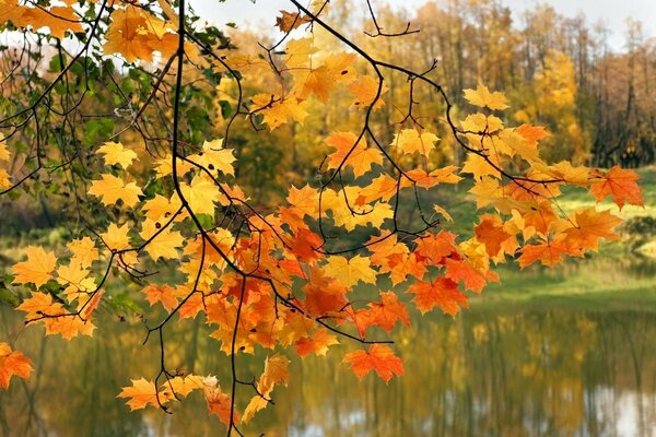 Herbstzeit der Augen