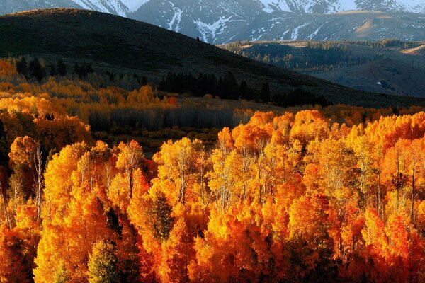 Morning in the autumn mountains, outdoors