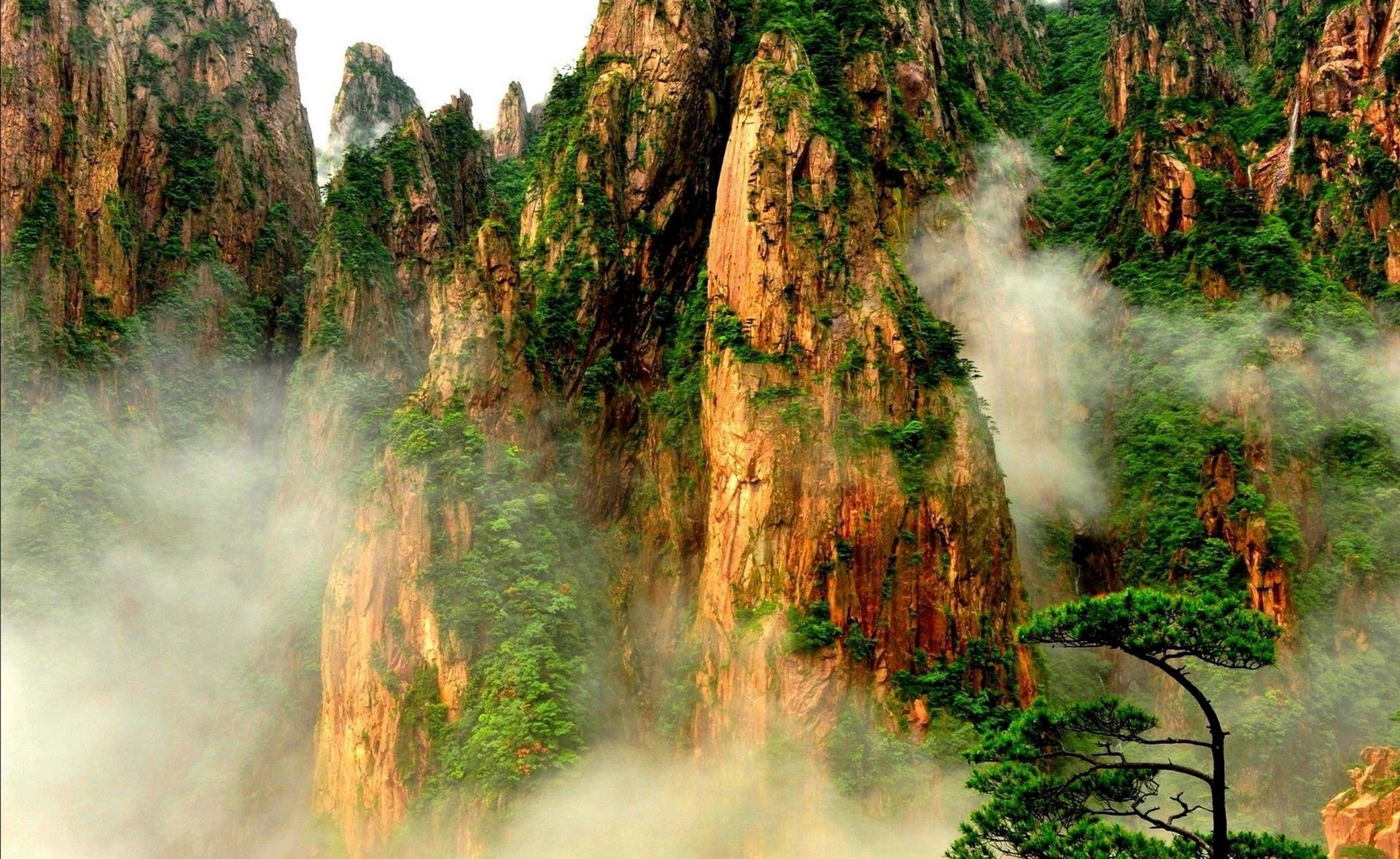 parks nature outdoors wood landscape tree mist travel park fog fall water scenic mountain environment leaf summer