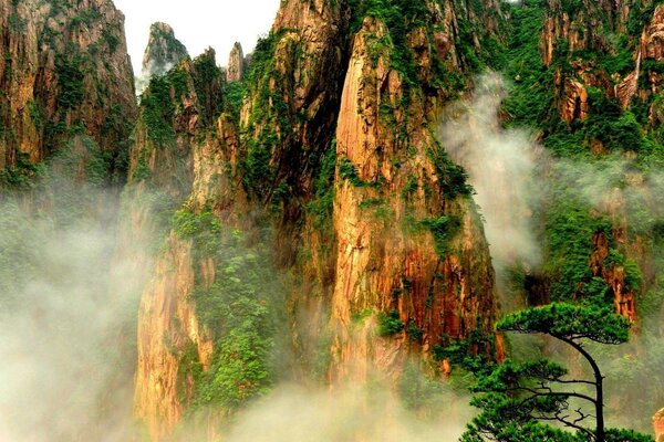 Montañas con escasa vegetación en neblina brumosa