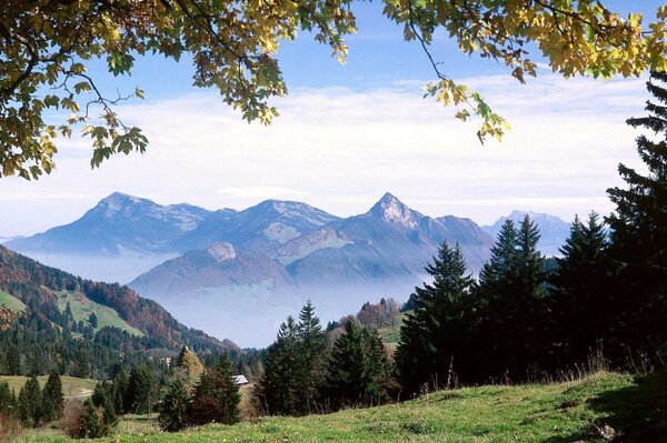 Paysage de montagne Alpine