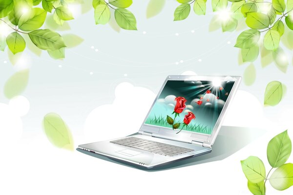 Schönes Foto des Laptops auf dem Hintergrund der Natur