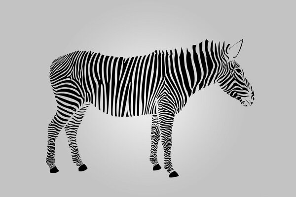 Ein erstaunliches grafisches Bild-ein Zebra