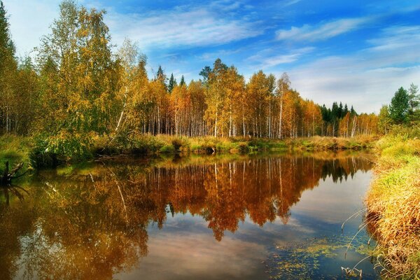 Die herbstliche Natur ist besonders reizvoll