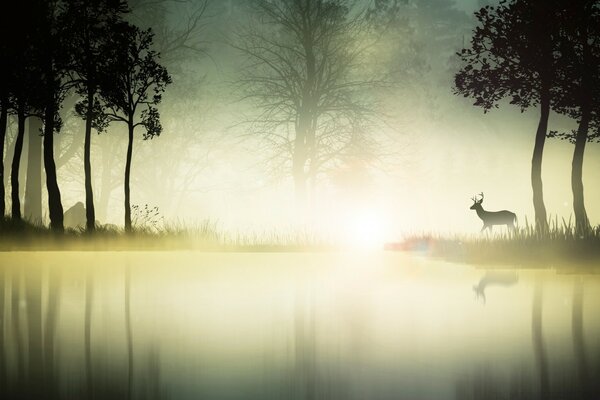 Nebel über dem See. Hirsche im Wald. Harry Potter