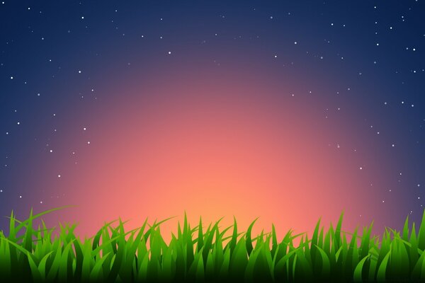 Graphic drawing of grass on sunset background