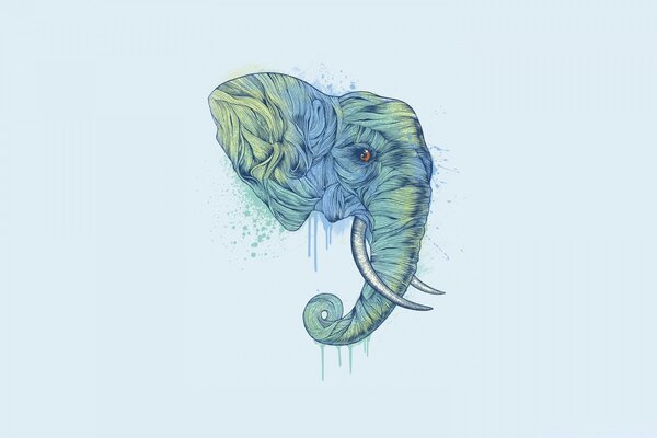 Dibujo gráfico de la cabeza del elefante