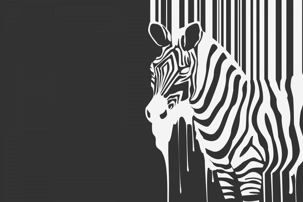 Verschwommenes Zebra auf schwarzem Hintergrund