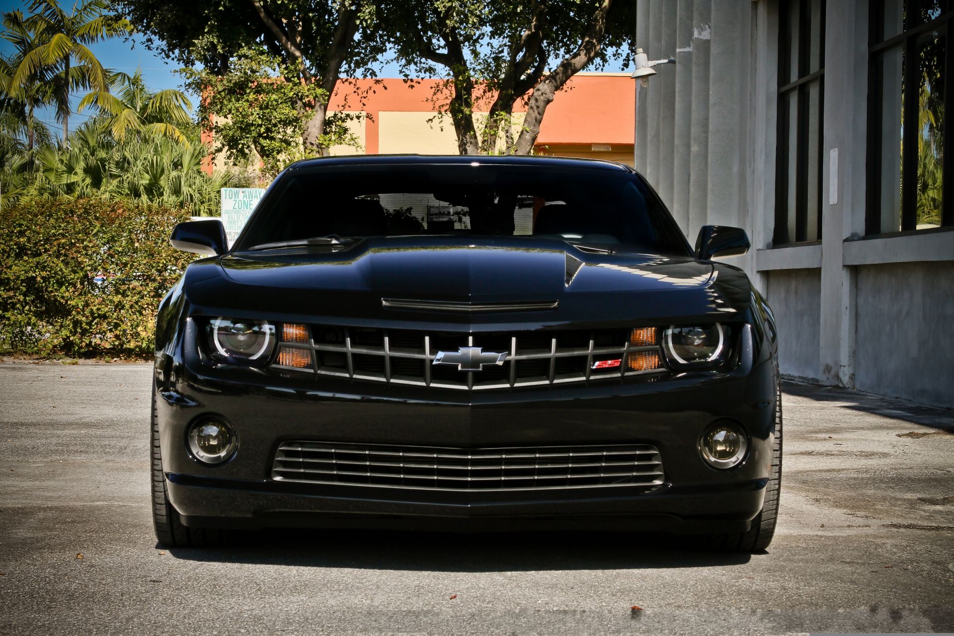 sportwagen auto fahrzeug transportsystem motorhaube räder klassisch bürgersteig straße automobil fahren