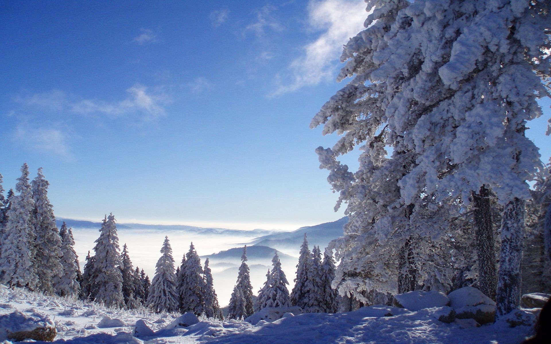 winter snow cold frost wood ice mountain tree frozen nature landscape evergreen scenic outdoors conifer fir fair weather