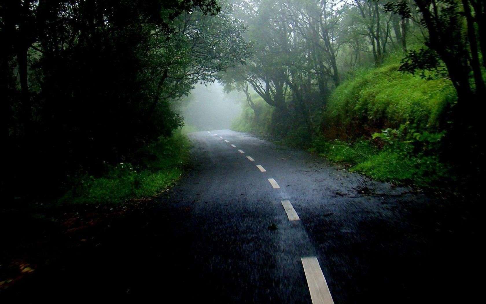 carretera paisaje árbol madera guía luz parque niebla naturaleza amanecer medio ambiente niebla huella hoja viajes escénico