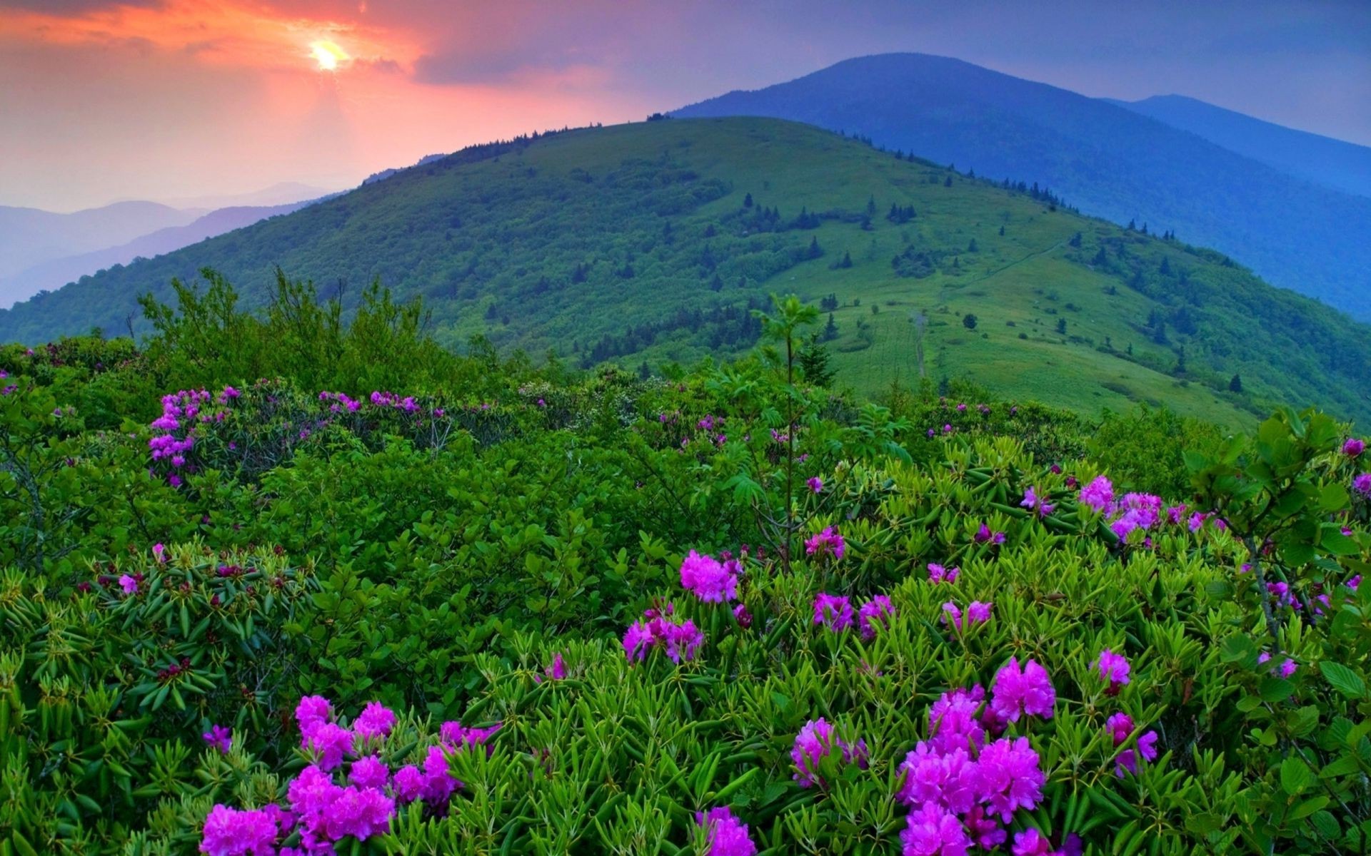 sonnenuntergang und dämmerung natur landschaft heuhaufen im freien berge sommer gras blume feld flora umwelt gutes wetter schauspiel ländlich