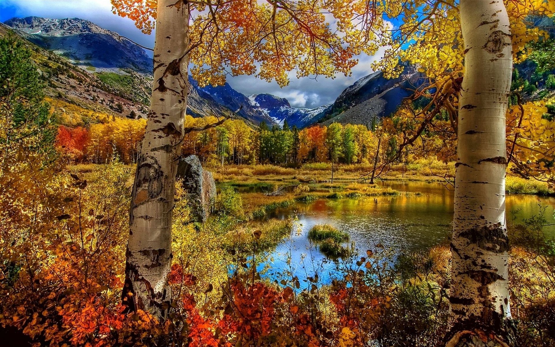 göller sonbahar ağaç yaprak ahşap doğa manzara sezon açık havada park doğal şube huş ağacı su gökyüzü sahne flora ortamlar renk