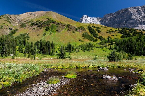 Berge grün Gras Bäume Landschaft Natur