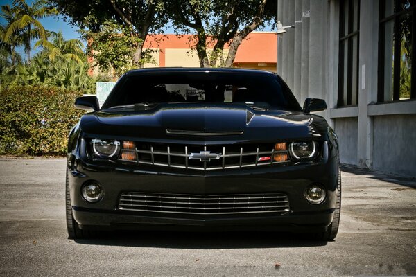 Black brutal car is ready for adventure