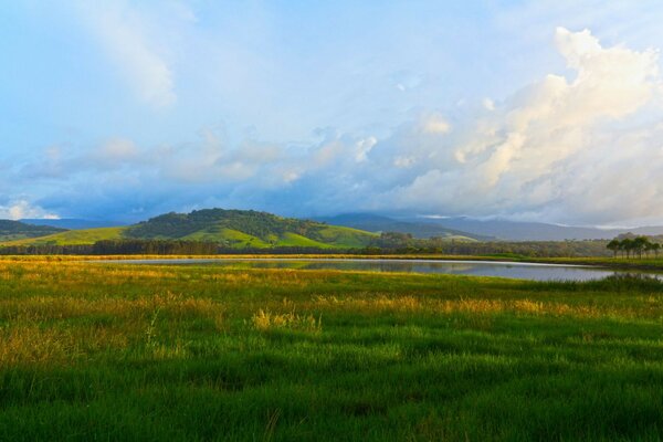 Paysage nature verdure herbe arbres lac ciel