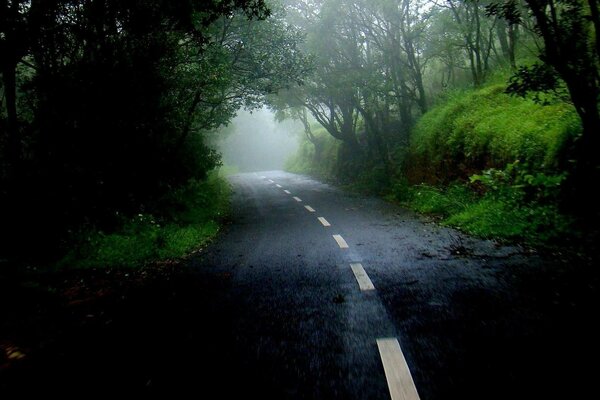 Camino a través del bosque llevado a ninguna parte