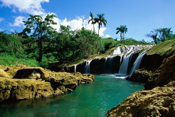 Cachoeira Tropical. natureza dos trópicos