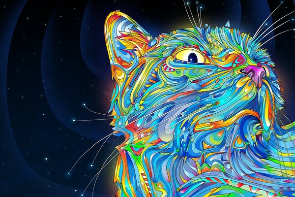 Vector graphics art beautiful cat