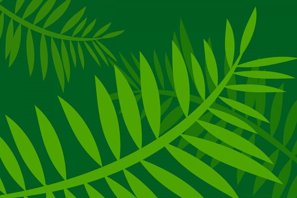 Green leaves on a dark green background, vector graphics